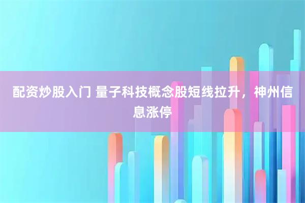 配资炒股入门 量子科技概念股短线拉升，神州信息涨停