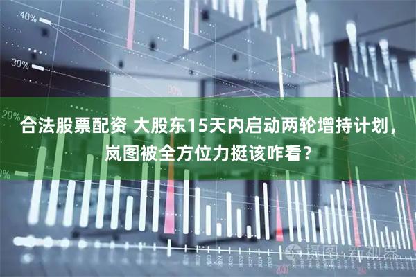 合法股票配资 大股东15天内启动两轮增持计划,岚图被全方位力挺该咋看?