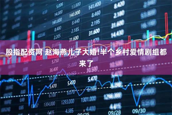 股指配资网 赵海燕儿子大婚!半个乡村爱情剧组都来了